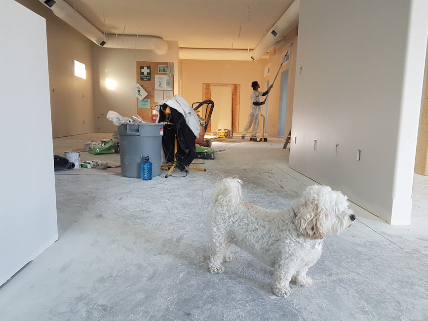 What to do when your remodel uncovers hidden structural issues